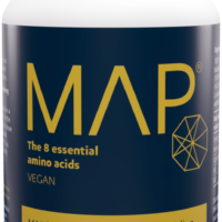 MAP-Protein